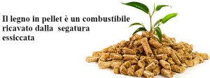 Senza titolo