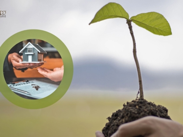 pianta-un-albero-leonardo-immobiliare